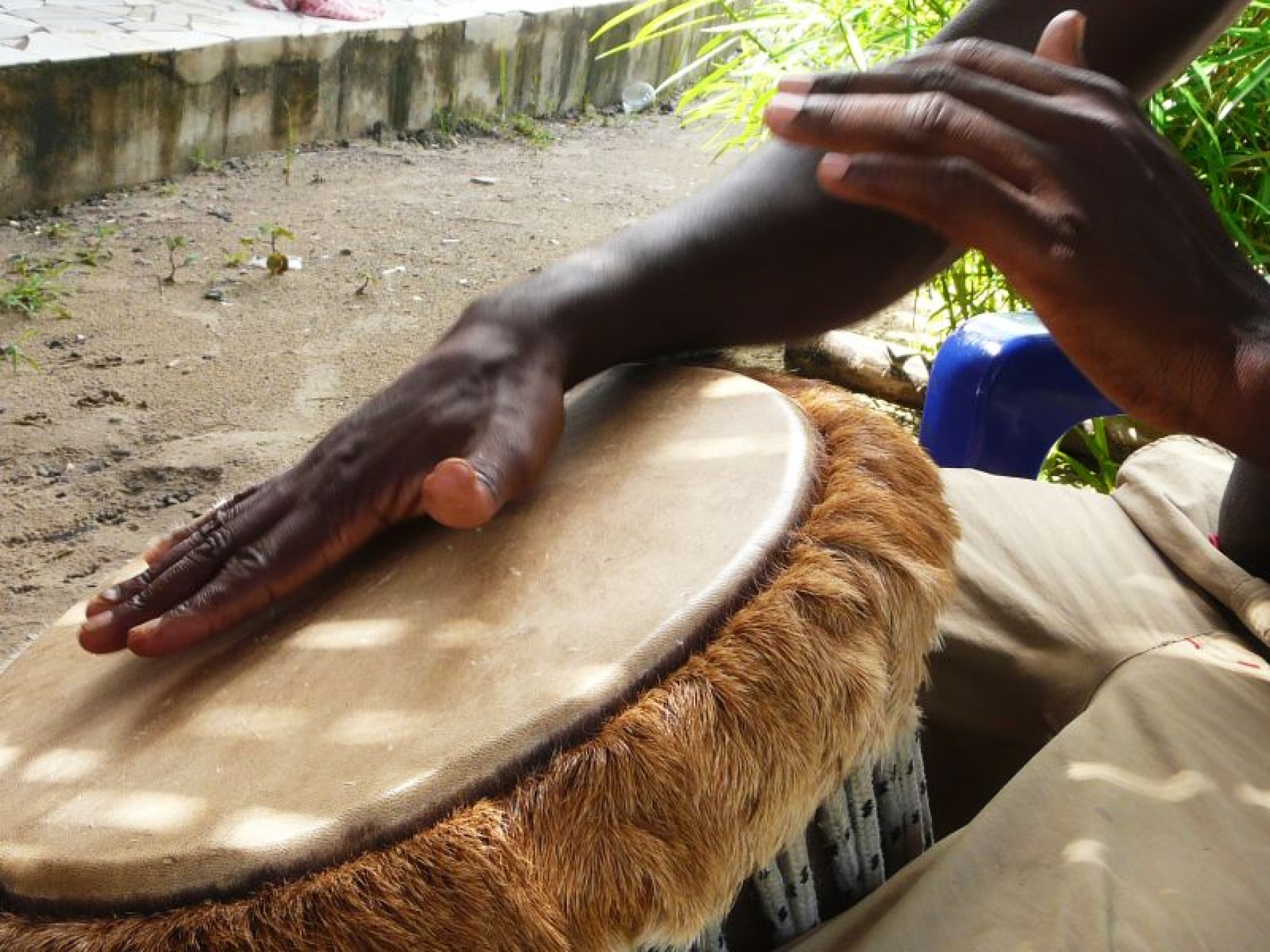 27MAR - TIERRA DE BAOBABS [exode 2026]