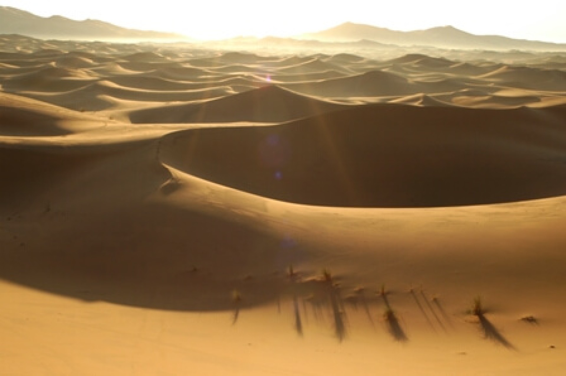 Marroc: de Tanger a Fez [EXODE 2026]