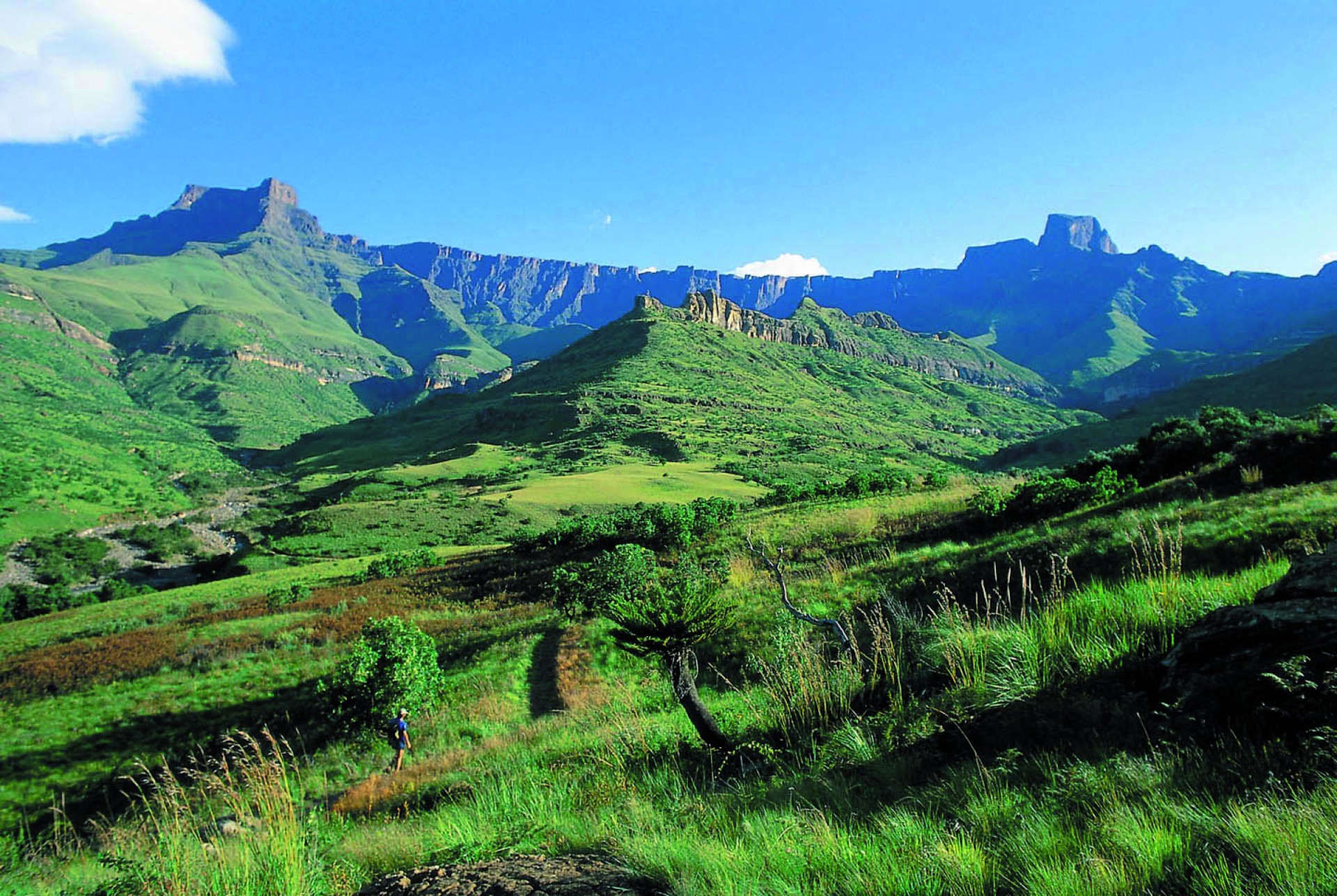 MERAVELLES DE SUD-ÀFRICA [EXODE 2026]