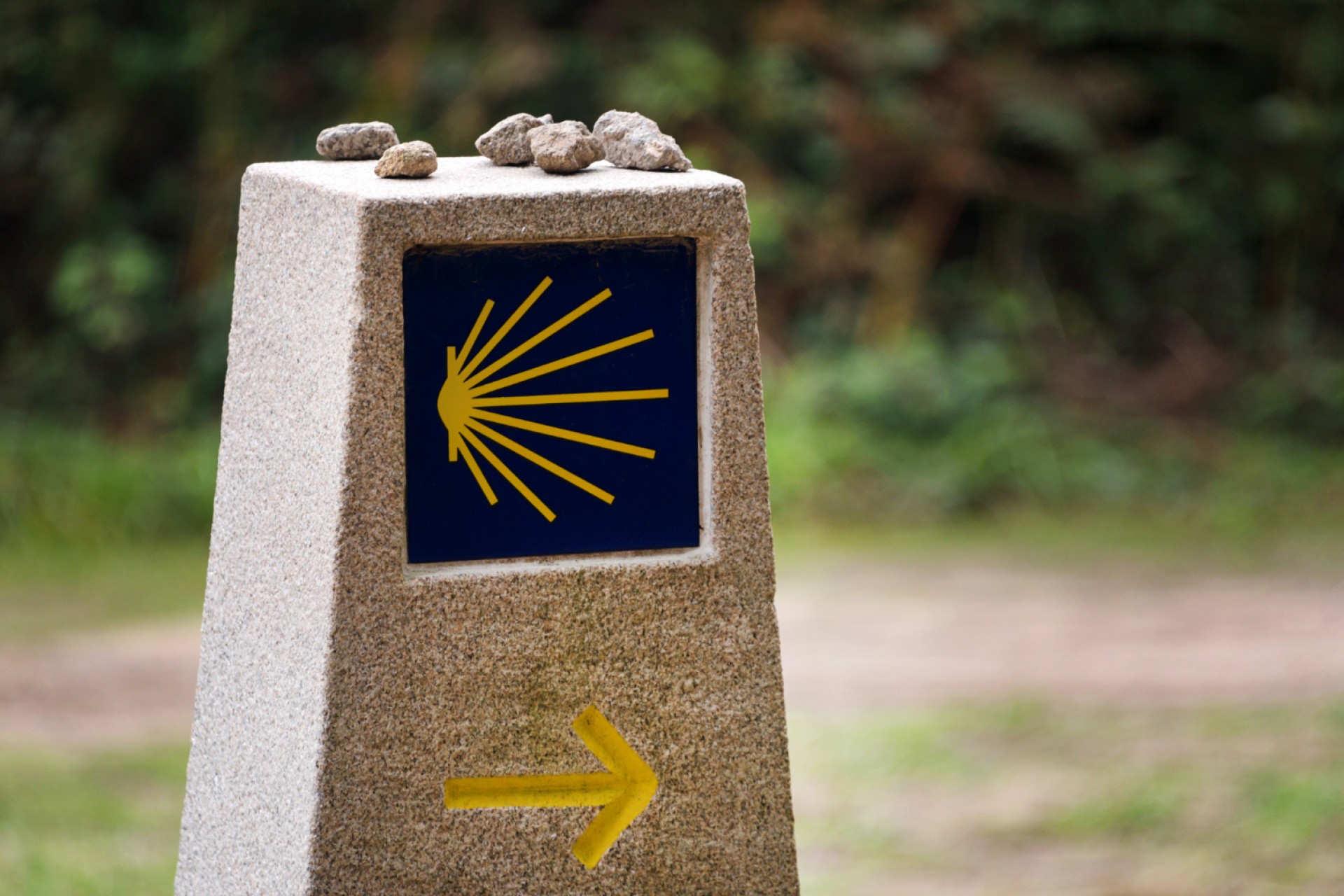 Camino Primitivo