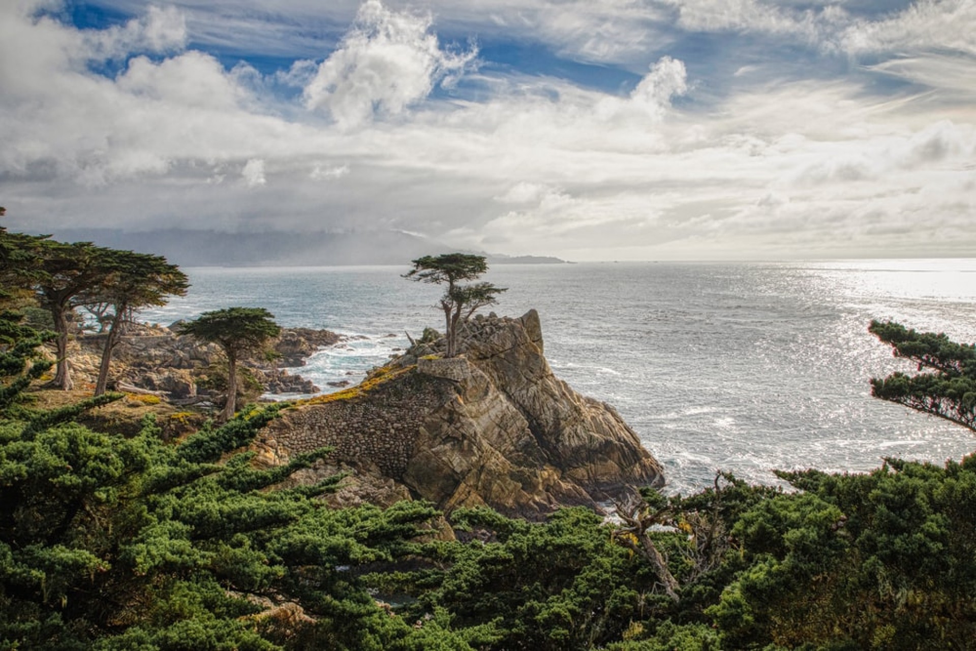 Día Mundial del Árbol: un recorrido por tres árboles sagrados del mundo