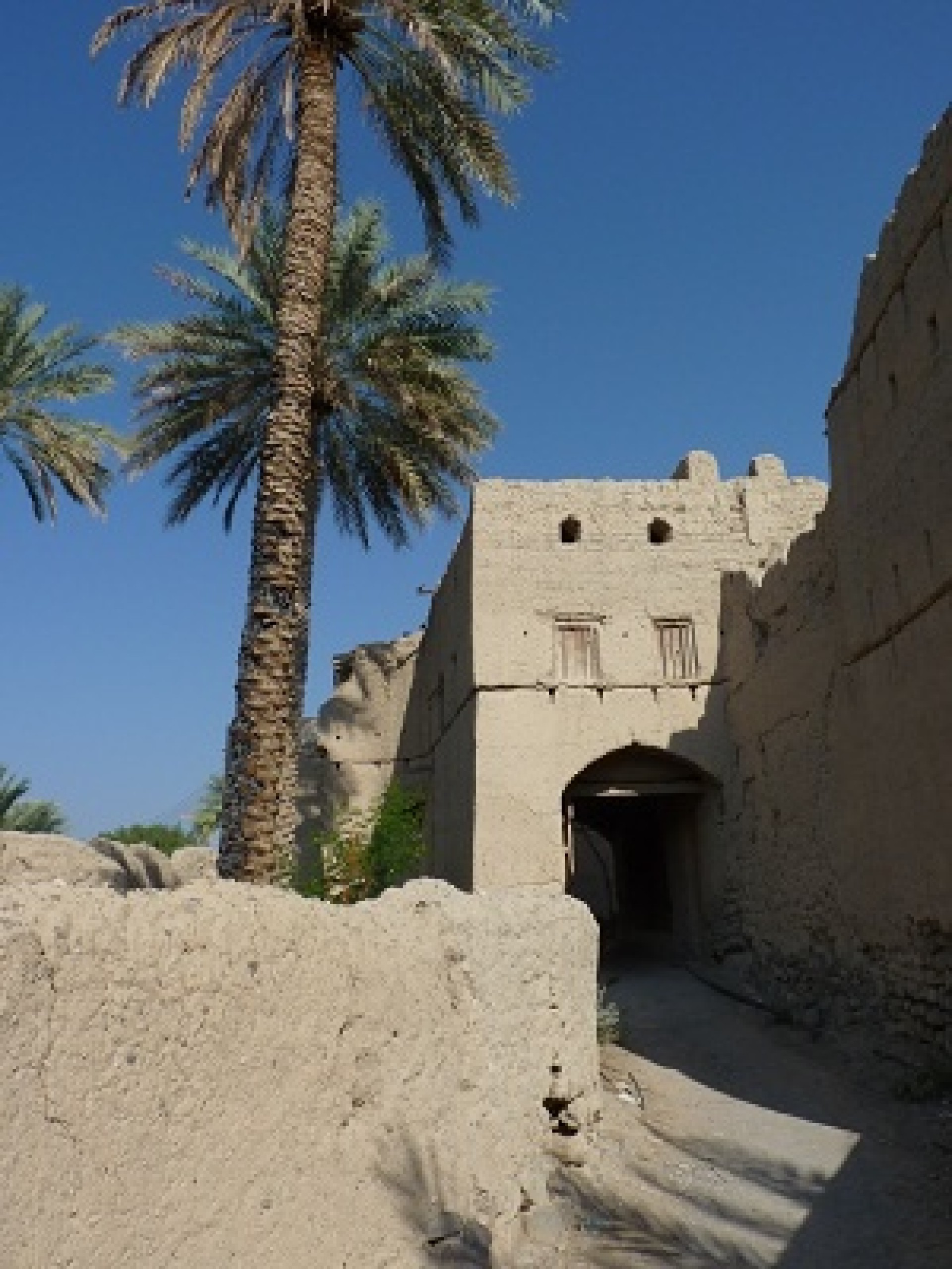 Omán e Isla Masirah [EXODE 2026]