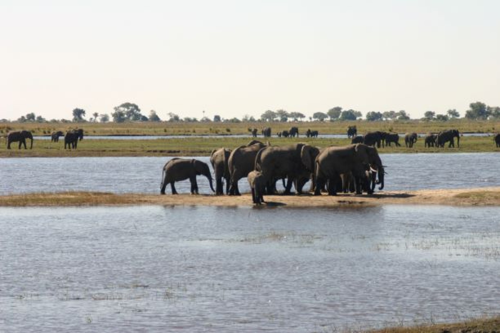 ESSÈNCIES DE NAMIBIA [EXODE 2026]
