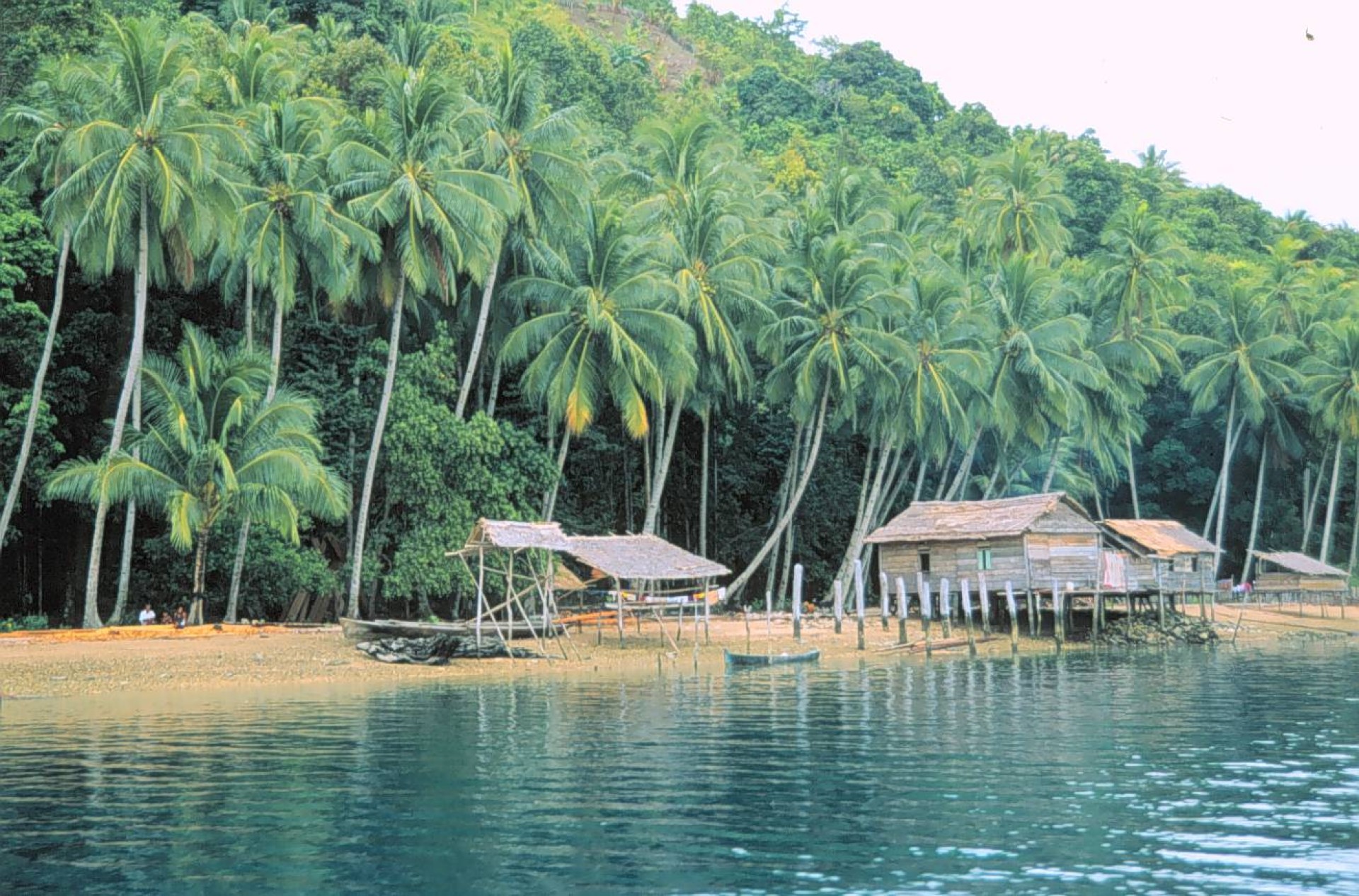 03 AUG - INDONÈSIA TONGKONAN [EXODE 2026]