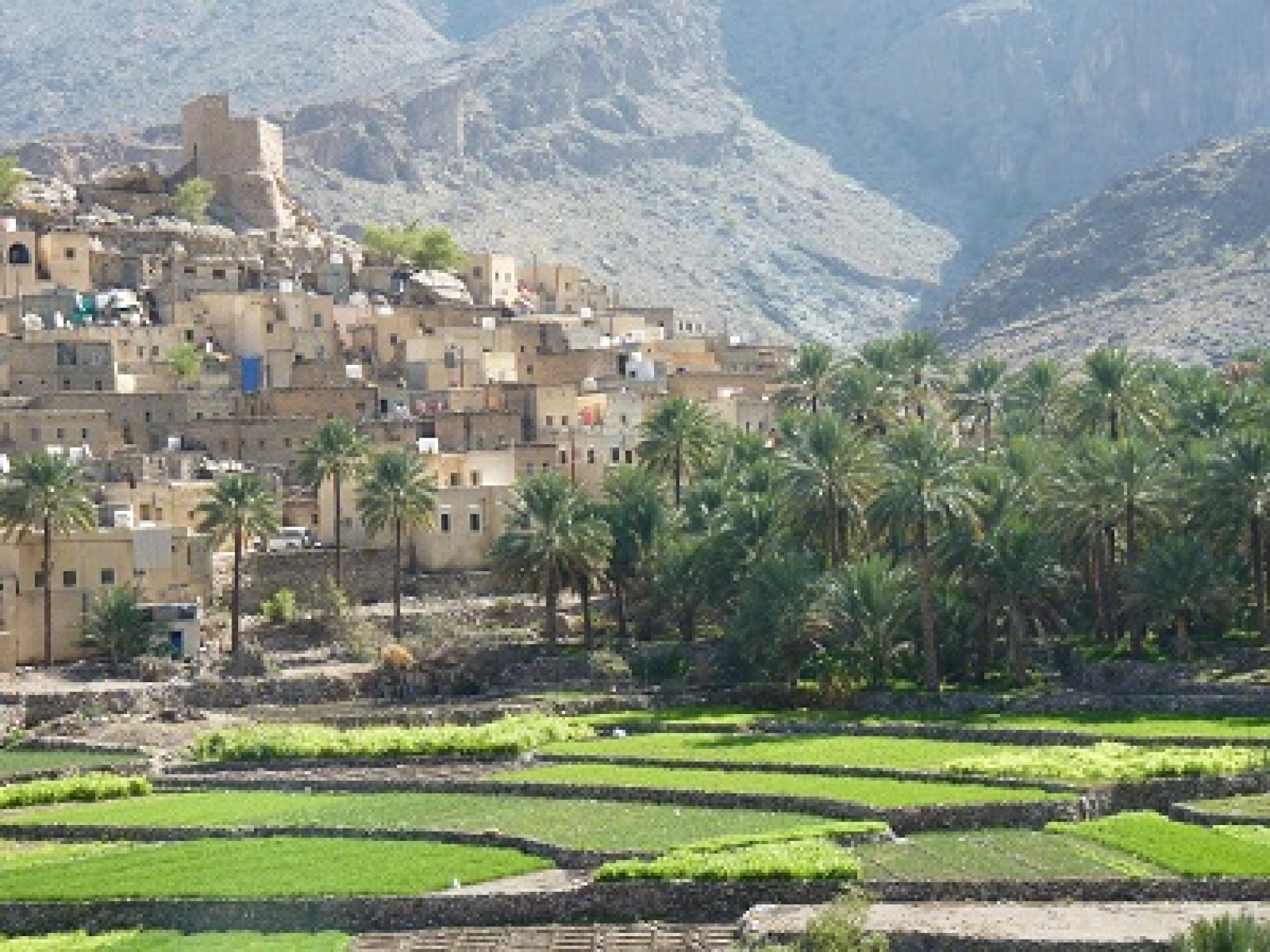 Joies d'Aràbia [2026]