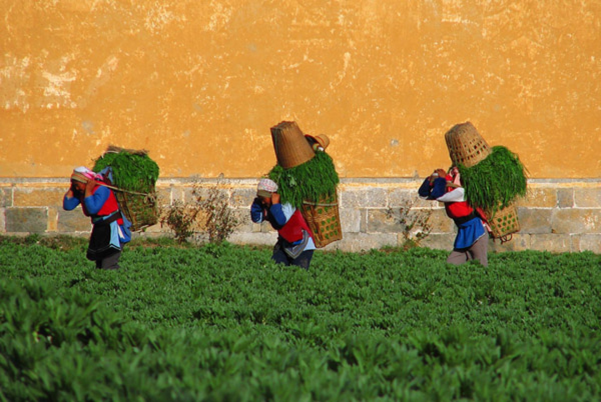 El país de la Eterna Primavera [EXODE 2026]