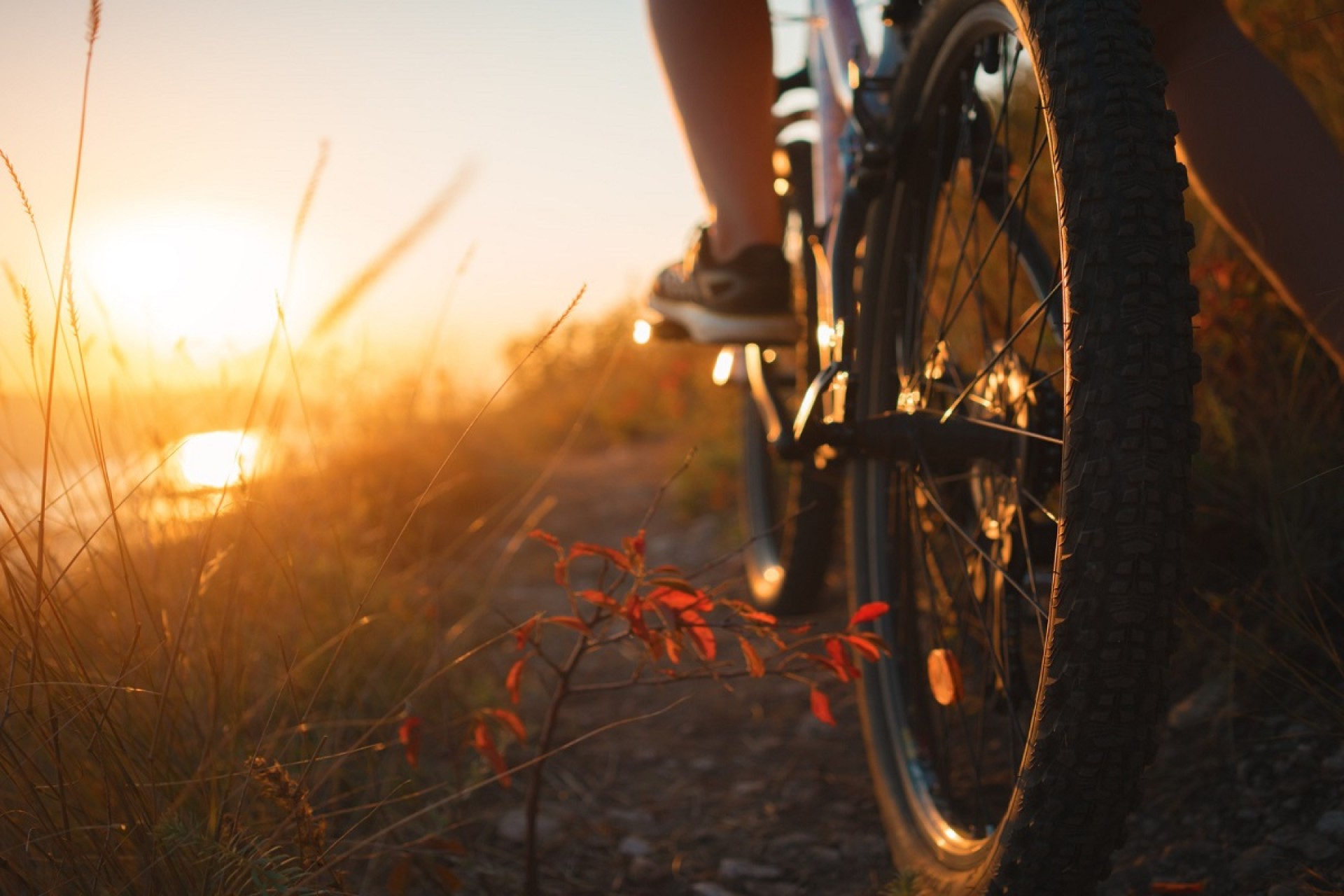 Blog de viajes en bicicleta
