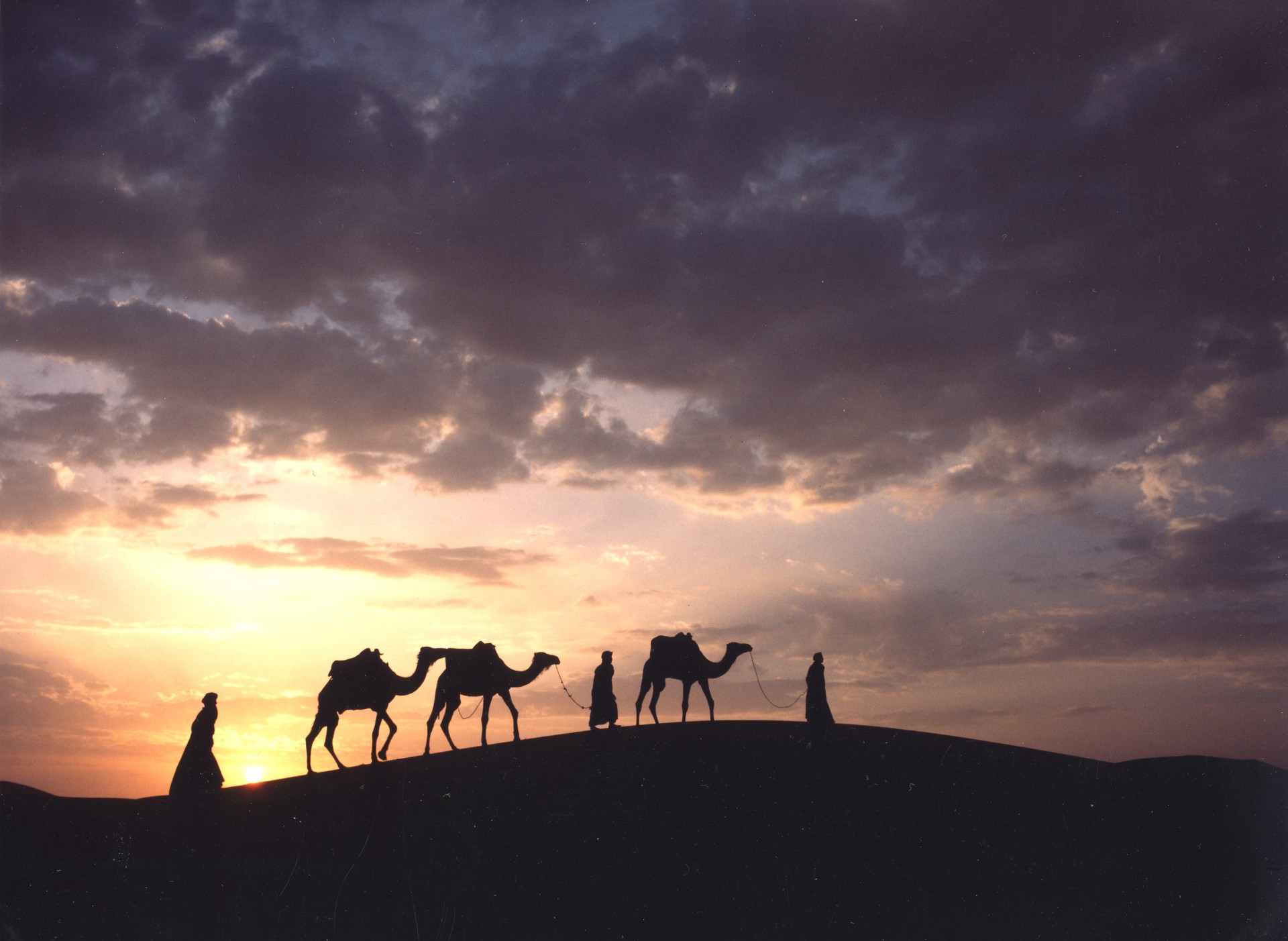 28 MAR TASSILI TADRART EN ARGELIA  [EXODE 2026]