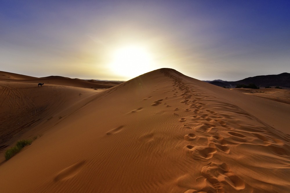 Escapada Marrakech y dunas del desierto [EXODE 2024]