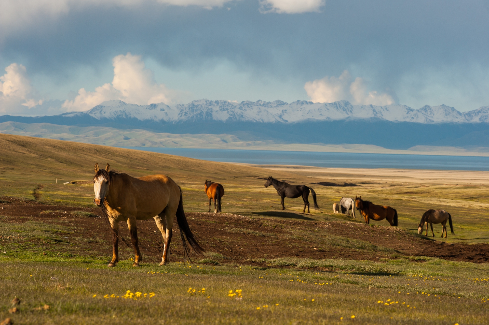 Kirguistán, un viaje alternativo en un país de nómadas, montañas y caballos