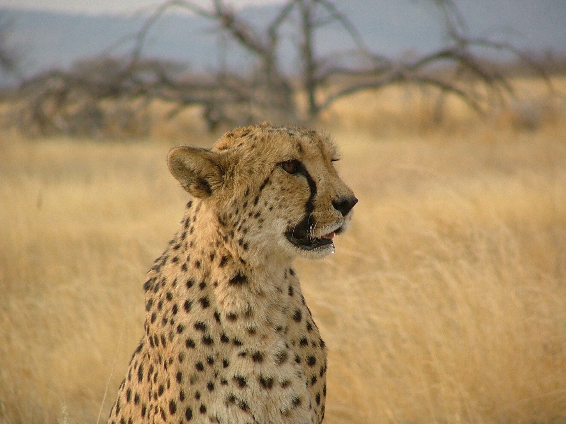 RUTA OMURAMBA [EXODE 2026]