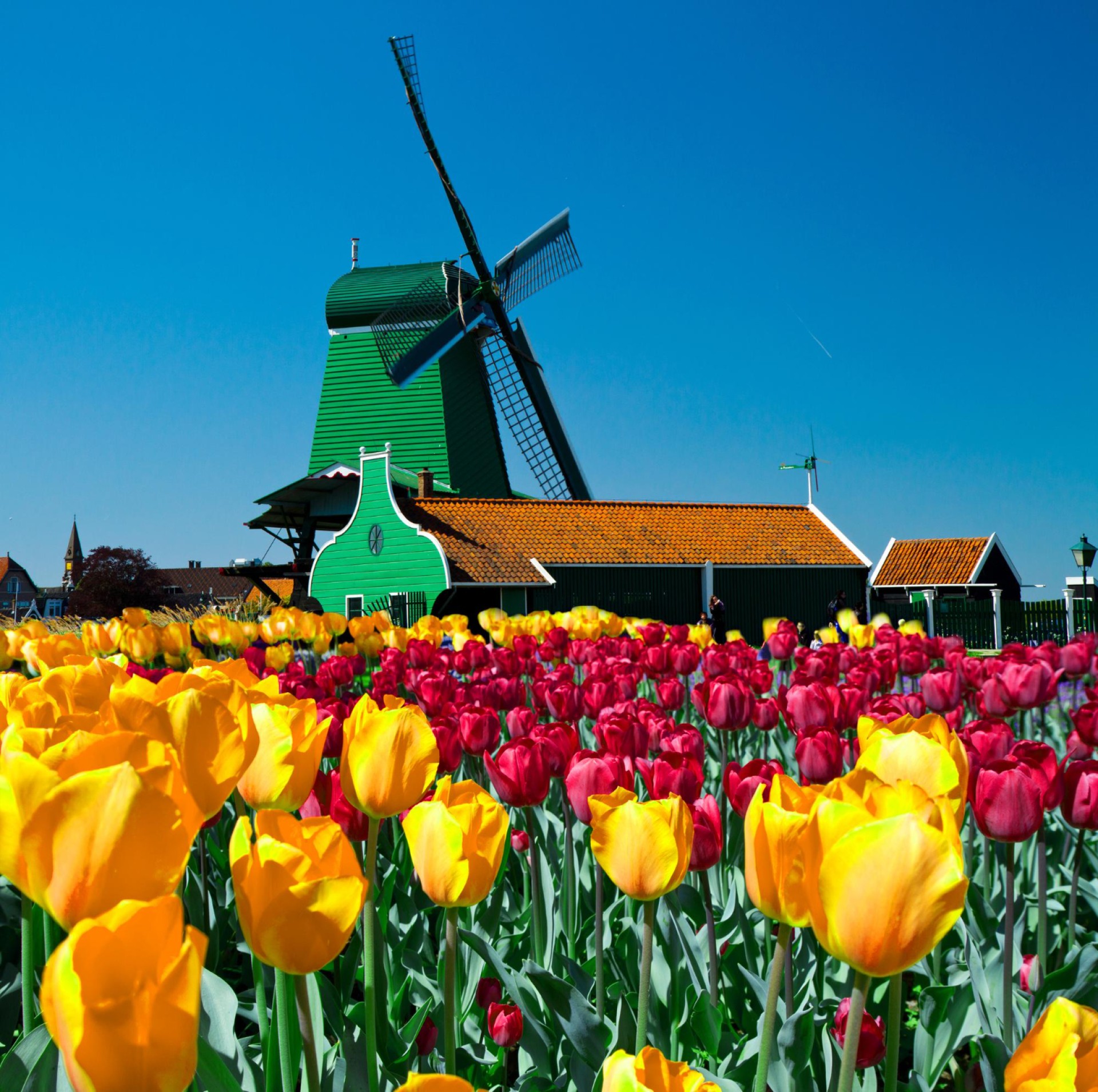 Rutas en bici por Holanda