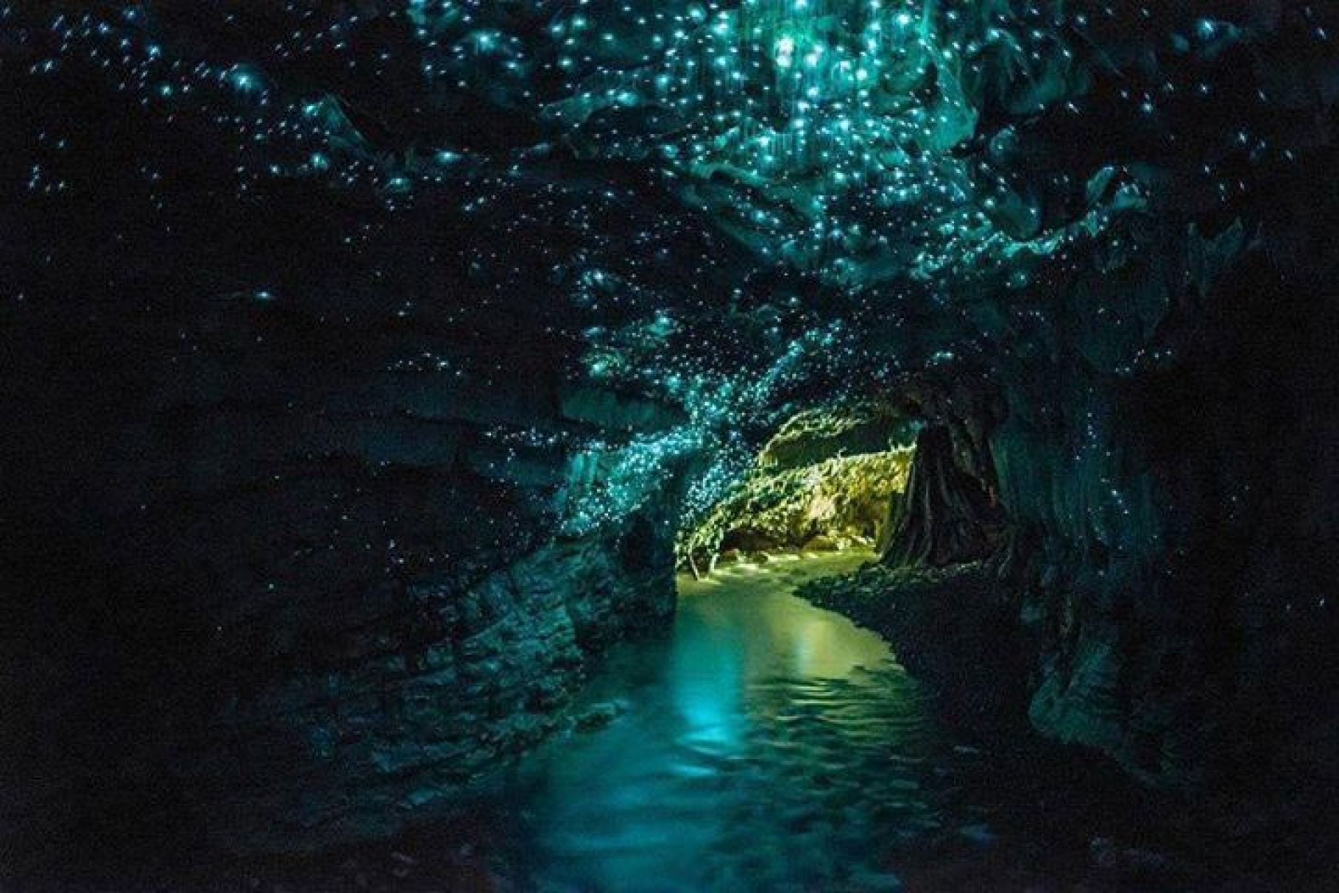 LA CUEVA LUMINOSA DE WAITOMO