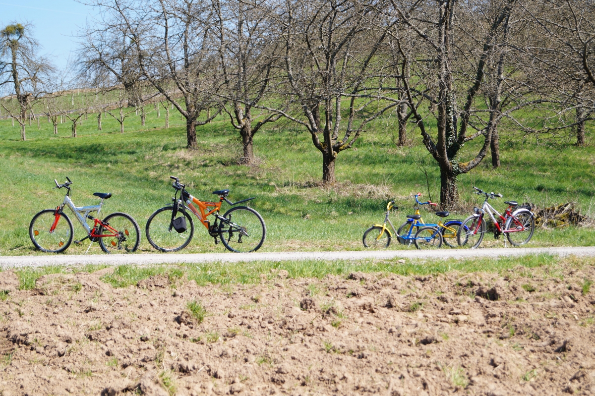 En Familia en Flandes [BIKE 2024]