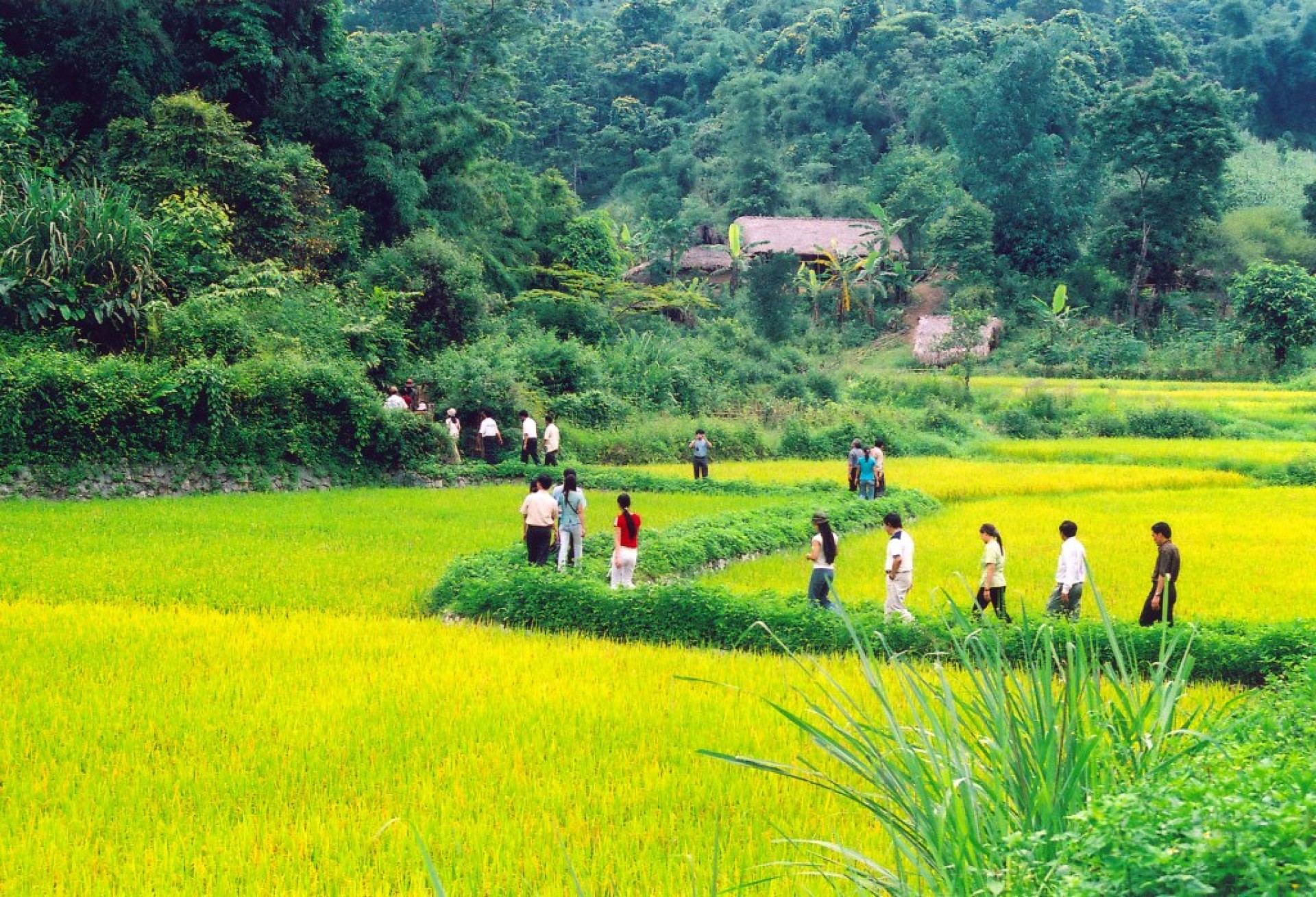 Impresiones de Vietnam [EXODE 2026]