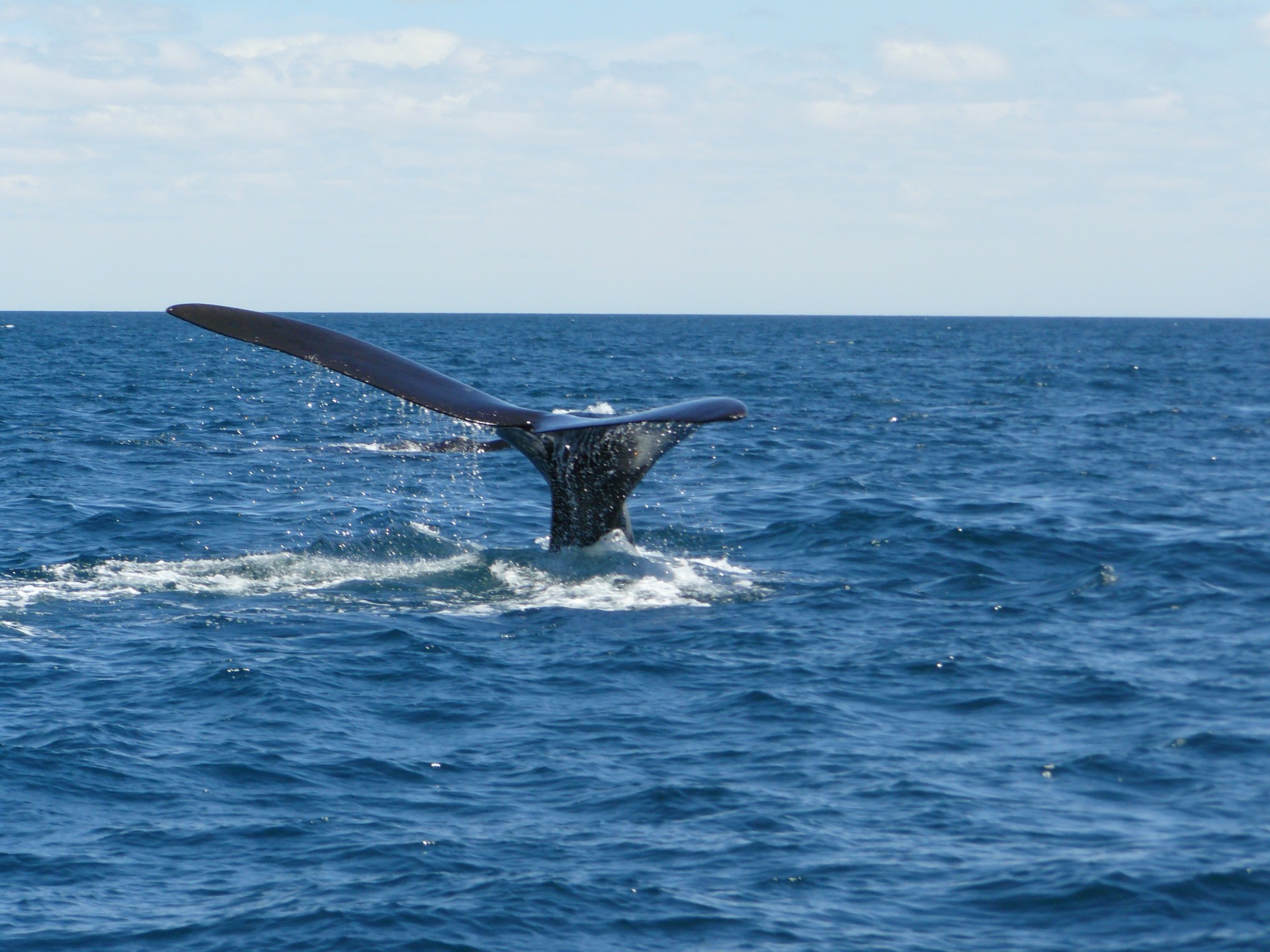 Argentina Explora [EXODE 2025]