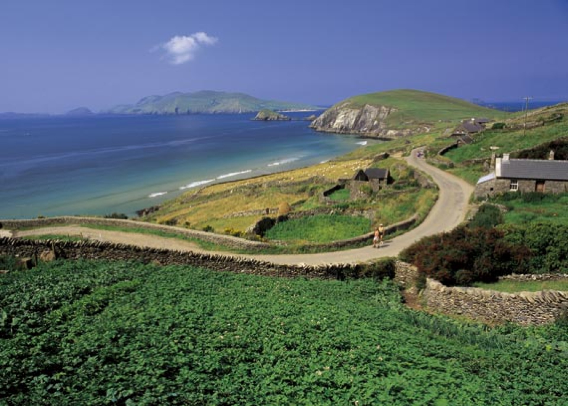 Irlanda Mitica [EXODE 2026]