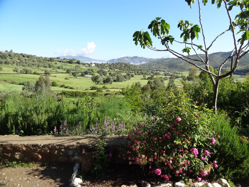 EL MARROC: EN EL COR DEL RIF EN FAMÍLIA [EXODE 2025]