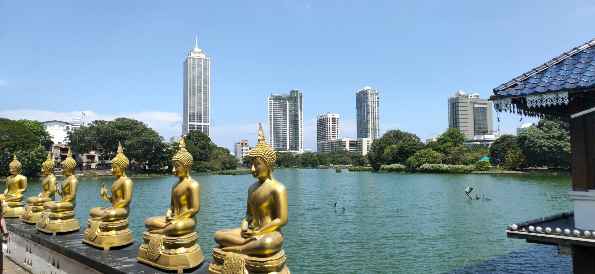 03 AUG - SERENDIB SRILANKA [EXODE 2026]