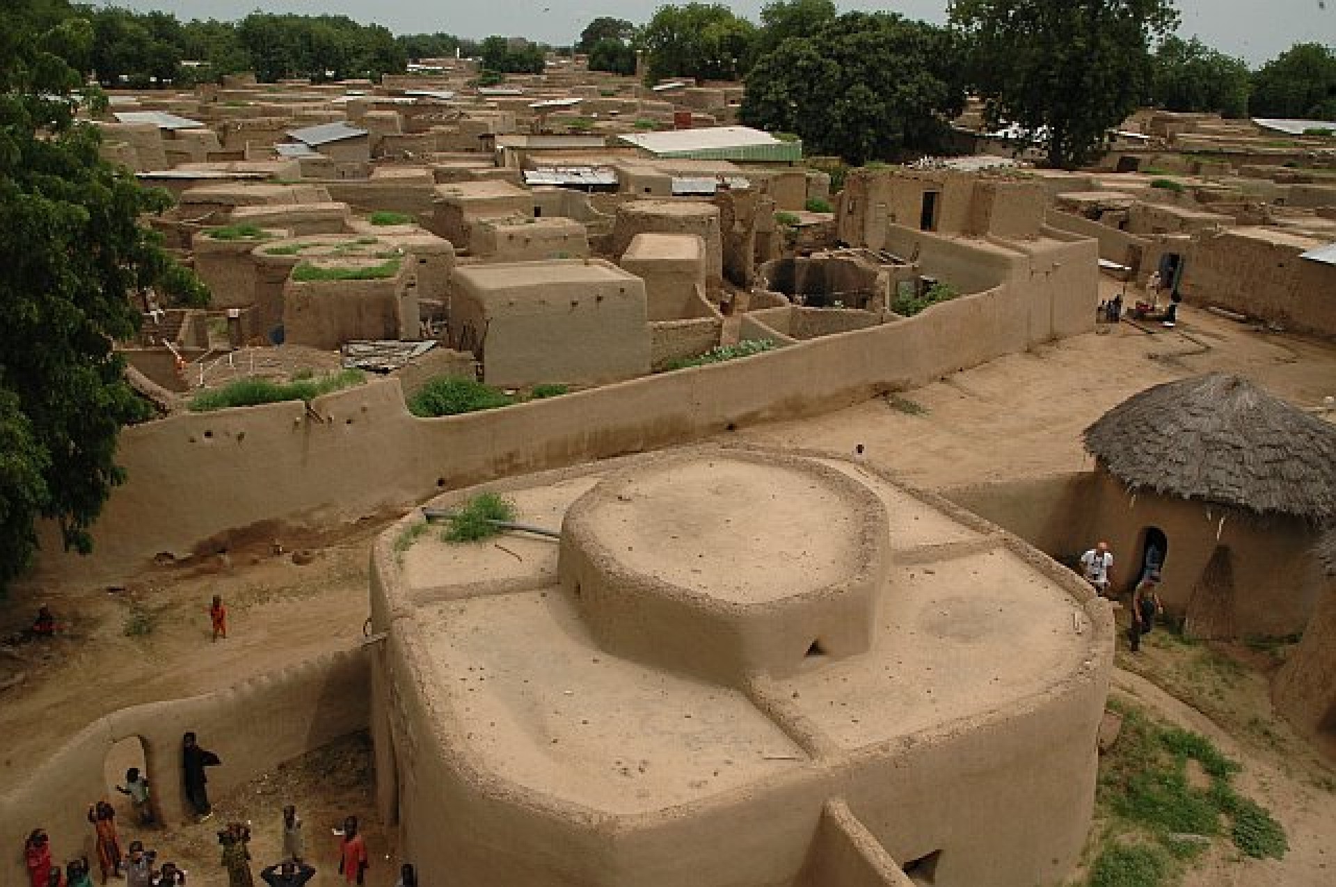 Tribus, sabana i selva [EXODE 2026]