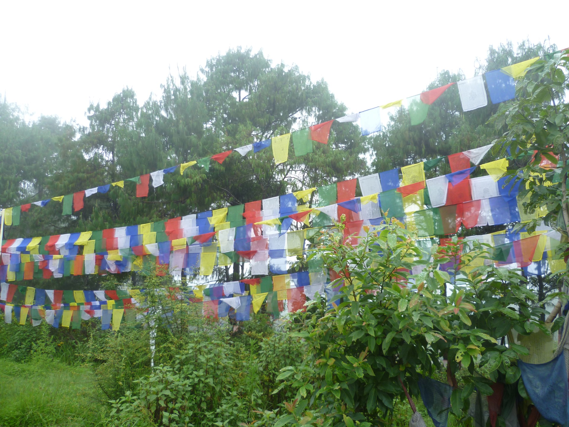 07OCT- NEPAL PRASANNA CON LA GEOGRÀFICA [EXODE 2025]