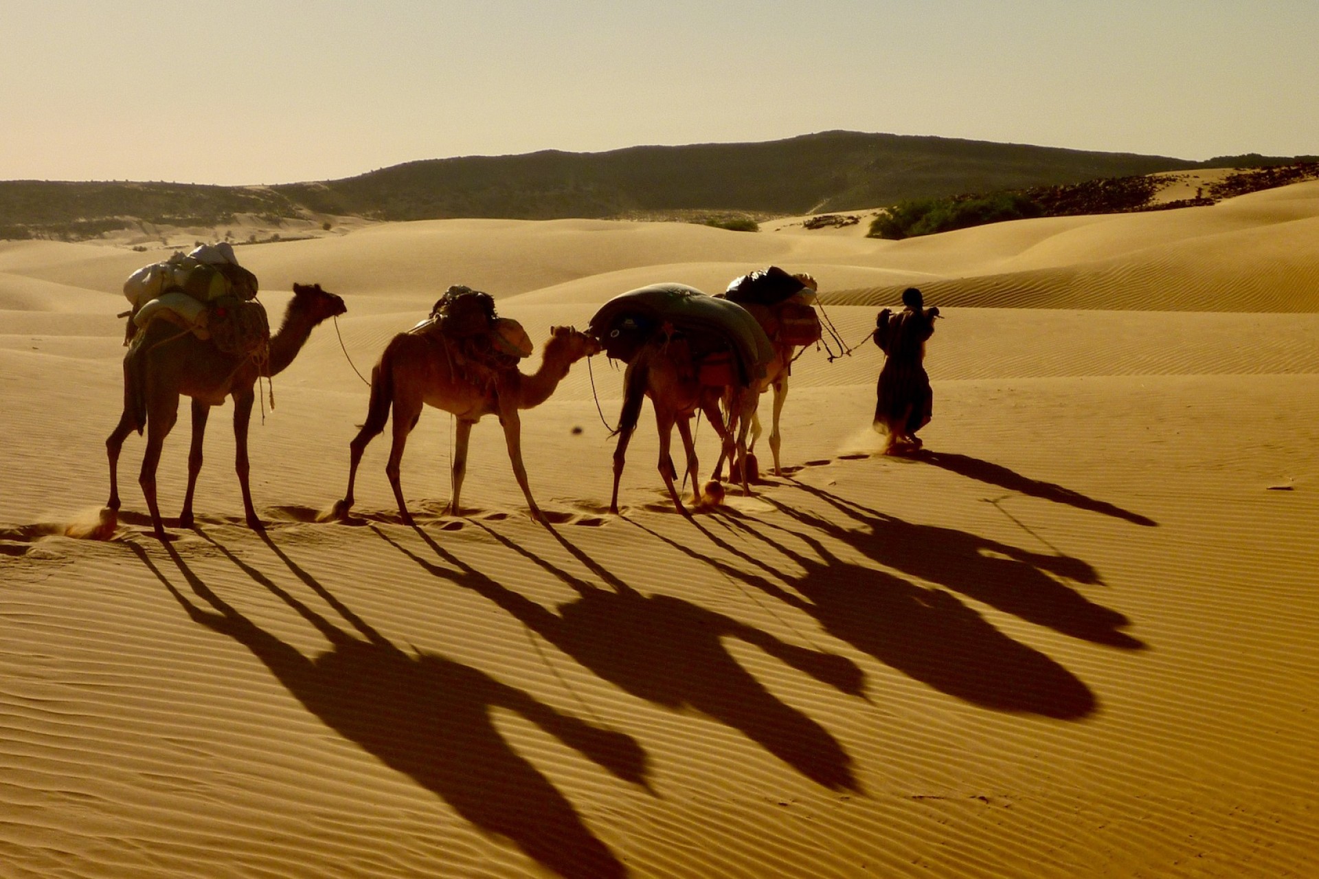 Ksour, ciudades y oasis del desierto [2026]