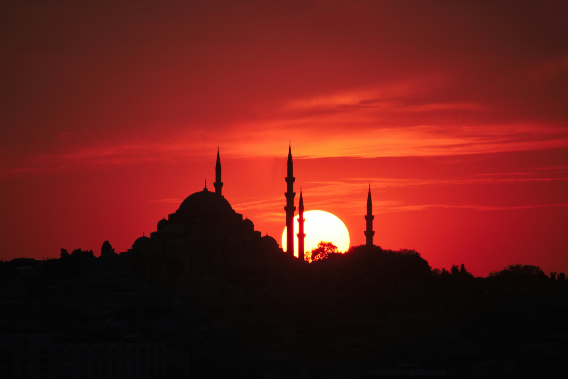 Estambul - Punte de la Purísima [EXODE 2026]