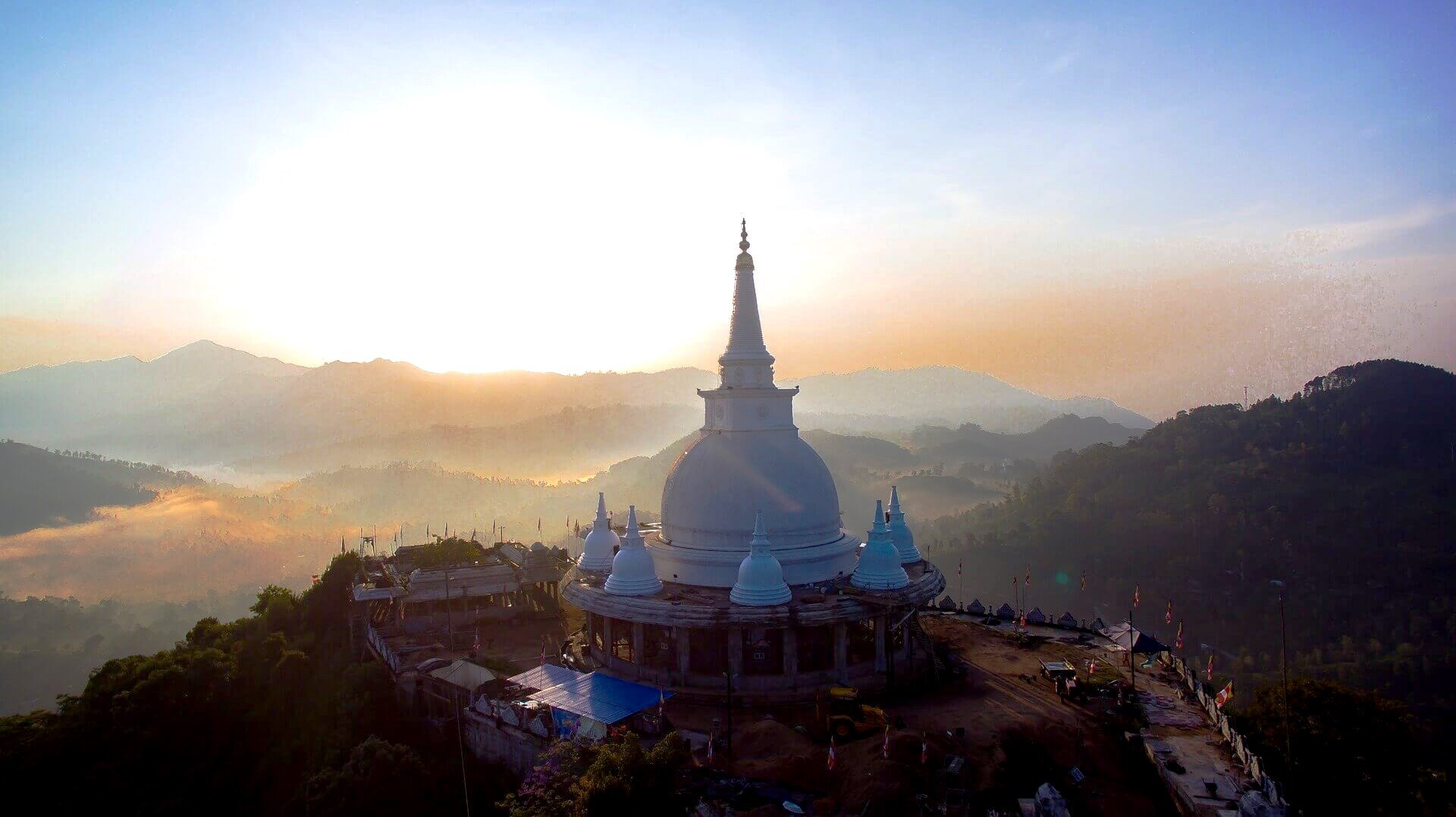 L'Illa de les Espècies [EXODE 2026]