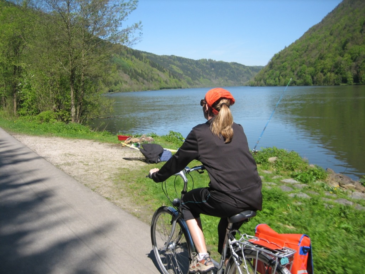 Danubio De Passau a Viena 8 dias [BIKE 2025]